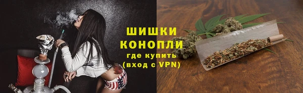 МДПВ Елабуга
