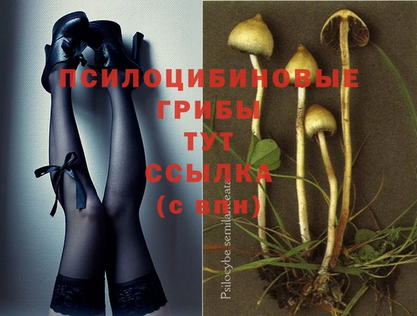 МДПВ Елабуга