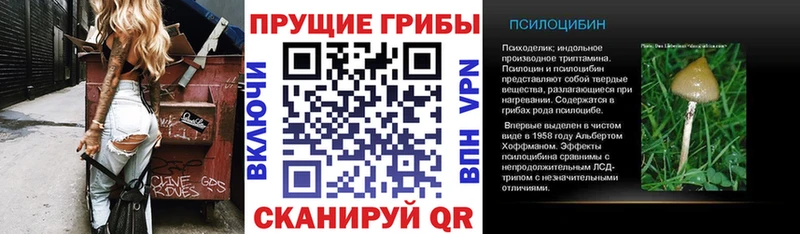 Галлюциногенные грибы Cubensis  Чулым 